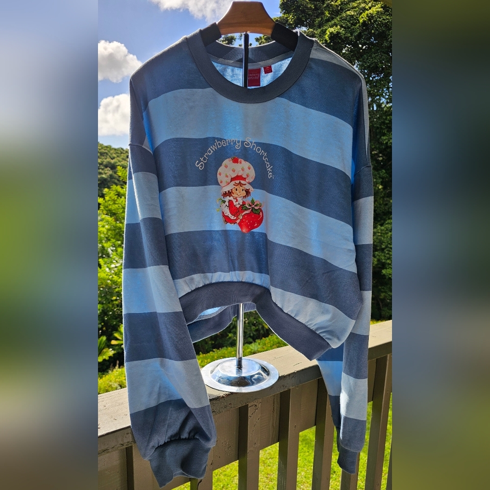Strawberry Shortcake Cropped Fleece Graphic Sweatshirt -Striped Light Blue - Picture 6 of 12